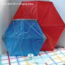 36 inch Hexagonal Singing Kite