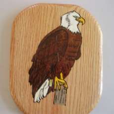 10" x 7 1/2" Bald Eagle on Red Oak!