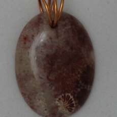 Coral pendant w copper twirl bail 52ct